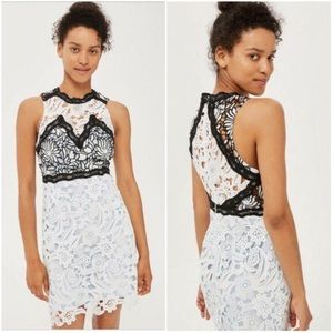NWT Topshop Lace Cocktail Dress
